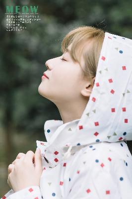 北上电视剧免费观看全集完整版