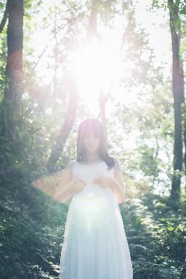 麻雀电视剧免费全集观看