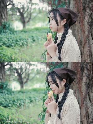 会长是女仆大人动漫完整版